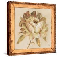 Peony Floret Detail-Lauren Hamilton-Stretched Canvas