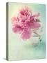 Peony Flower in a Vase-egal-Stretched Canvas