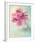 Peony Flower in a Vase-egal-Framed Premium Photographic Print