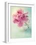 Peony Flower in a Vase-egal-Framed Photographic Print