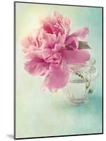 Peony Flower in a Vase-egal-Mounted Photographic Print