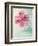 Peony Flower in a Vase-egal-Framed Photographic Print