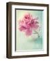 Peony Flower in a Vase-egal-Framed Photographic Print