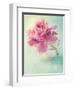 Peony Flower in a Vase-egal-Framed Photographic Print