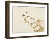 Peony Flowers and Butterflies, c. 1810-1839-null-Framed Art Print