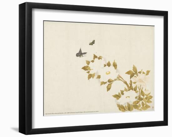 Peony Flowers and Butterflies, c. 1810-1839-null-Framed Art Print