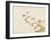 Peony Flowers and Butterflies, c. 1810-1839-null-Framed Art Print