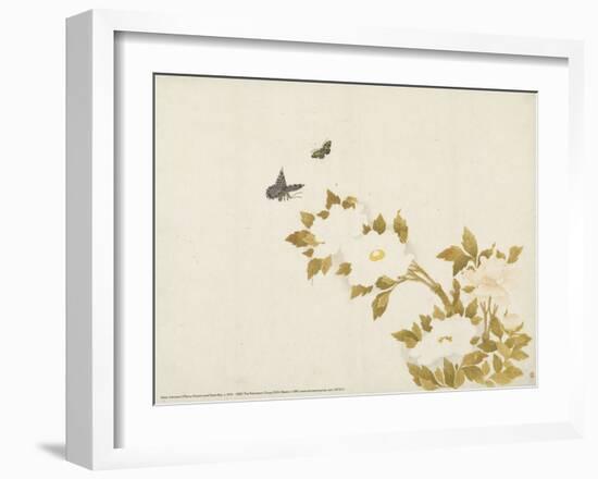 Peony Flowers and Butterflies, c. 1810-1839-null-Framed Art Print