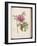 Peony, from 'Description Des Plantes Rares Et Cultivees a Malmaison Et a Navarre' by Aime Bonpland-Pierre-Joseph Redouté-Framed Giclee Print