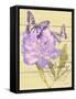 Peony Garden-Bella Dos Santos-Framed Stretched Canvas