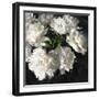 Peony Glow-Tania Bello-Framed Giclee Print