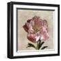 Peony I-Janel Pahl-Framed Giclee Print