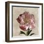 Peony I-Janel Pahl-Framed Giclee Print