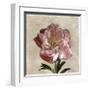 Peony I-Janel Pahl-Framed Giclee Print