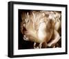 Peony I-Christine Zalewski-Framed Art Print