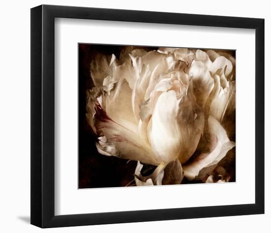 Peony I-Christine Zalewski-Framed Art Print