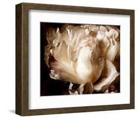 Peony I-Christine Zalewski-Framed Art Print