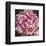 Peony I-Elizabeth Hellman-Framed Art Print