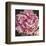 Peony I-Elizabeth Hellman-Framed Art Print