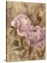 Peony I-li bo-Stretched Canvas