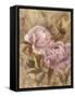 Peony I-li bo-Framed Stretched Canvas