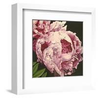 Peony II-Elizabeth Hellman-Framed Art Print