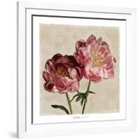 Peony II-Janel Pahl-Framed Art Print