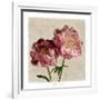 Peony II-Janel Pahl-Framed Art Print