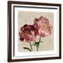 Peony II-Janel Pahl-Framed Art Print