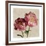 Peony II-Janel Pahl-Framed Art Print