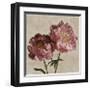 Peony II-Janel Pahl-Framed Giclee Print