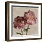 Peony II-Janel Pahl-Framed Giclee Print