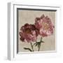 Peony II-Janel Pahl-Framed Giclee Print