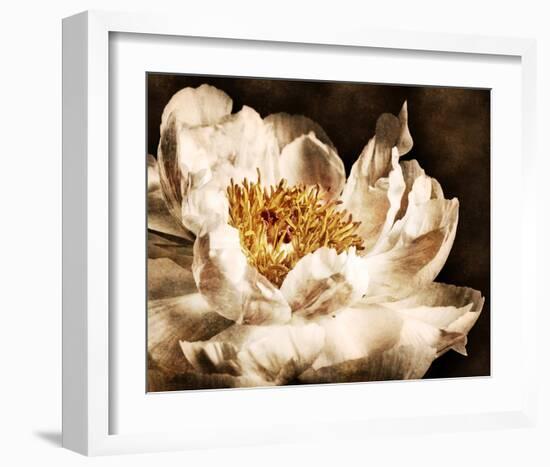 Peony II-Christine Zalewski-Framed Art Print