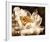 Peony II-Christine Zalewski-Framed Art Print