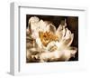 Peony II-Christine Zalewski-Framed Art Print