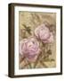 Peony II-li bo-Framed Giclee Print