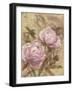 Peony II-li bo-Framed Giclee Print