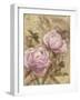 Peony II-li bo-Framed Giclee Print