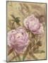 Peony II-li bo-Mounted Giclee Print