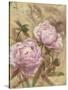 Peony II-li bo-Stretched Canvas