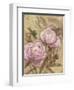 Peony II-li bo-Framed Giclee Print