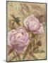 Peony II-li bo-Mounted Giclee Print