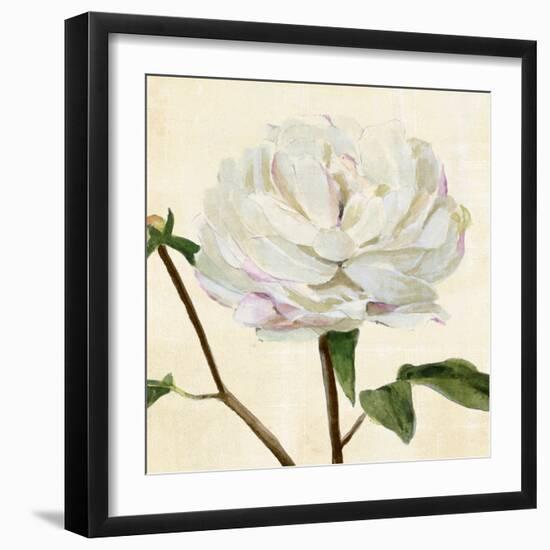 Peony in Bloom I-Annie Warren-Framed Art Print