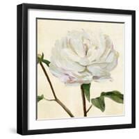 Peony in Bloom I-Annie Warren-Framed Art Print