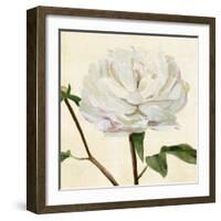 Peony in Bloom I-Annie Warren-Framed Art Print