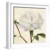 Peony in Bloom I-Annie Warren-Framed Art Print