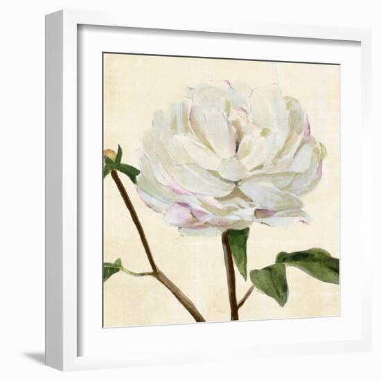 Peony in Bloom I-Annie Warren-Framed Art Print