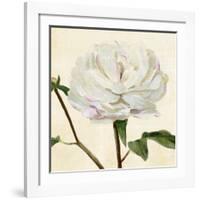 Peony in Bloom I-Annie Warren-Framed Art Print