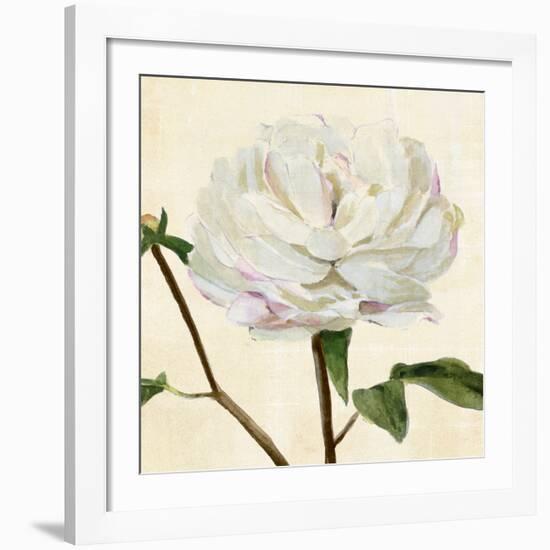 Peony in Bloom I-Annie Warren-Framed Art Print